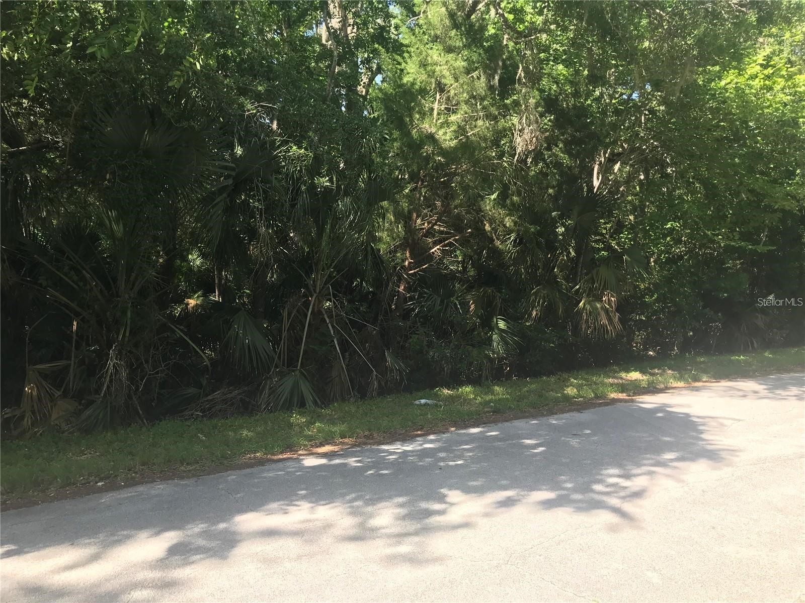 Elizabeth Street New Smyrna Beach FL 32168 O6407899 image6