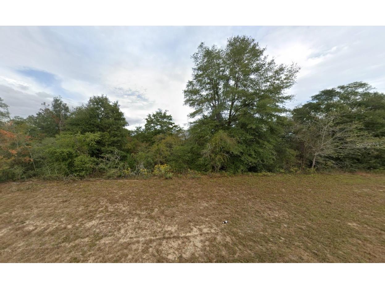 Elkcam Boulevard Chipley FL 32428 OK225267 image1