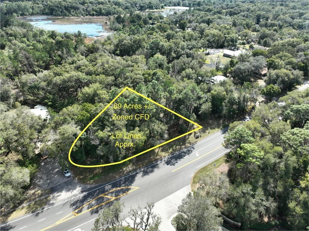 Elkridge Drive Mount Plymouth FL 32776 O6174689 image1