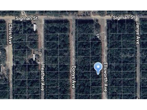 Ellsworth Avenue Interlachen FL 32148 OM697119 image1