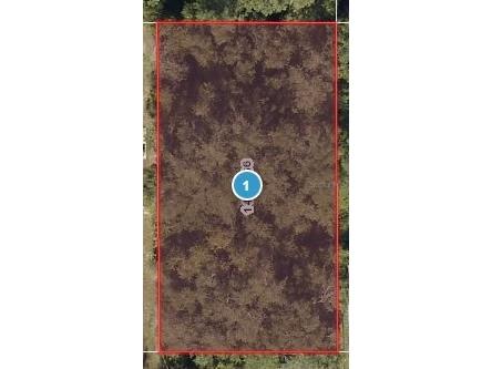 Elm Street Lady Lake FL 32159 G5097120 image1