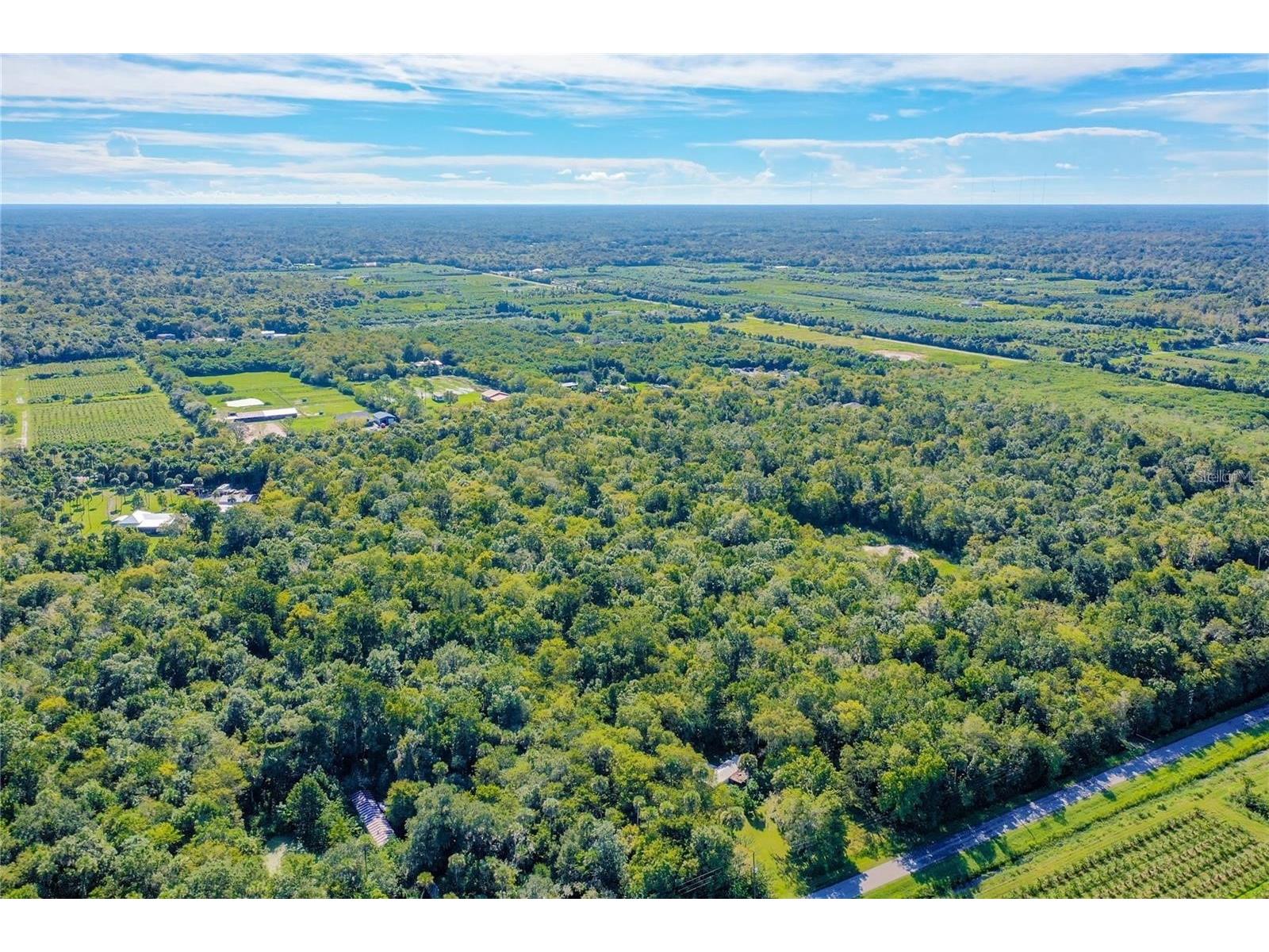 Elm Street Oviedo FL 32765 O6388289 image8