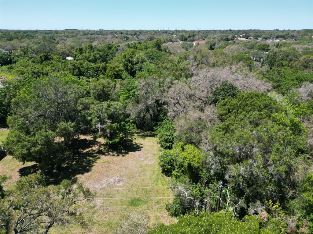 Elm Street Safety Harbor FL 34695 TB8331367 image2