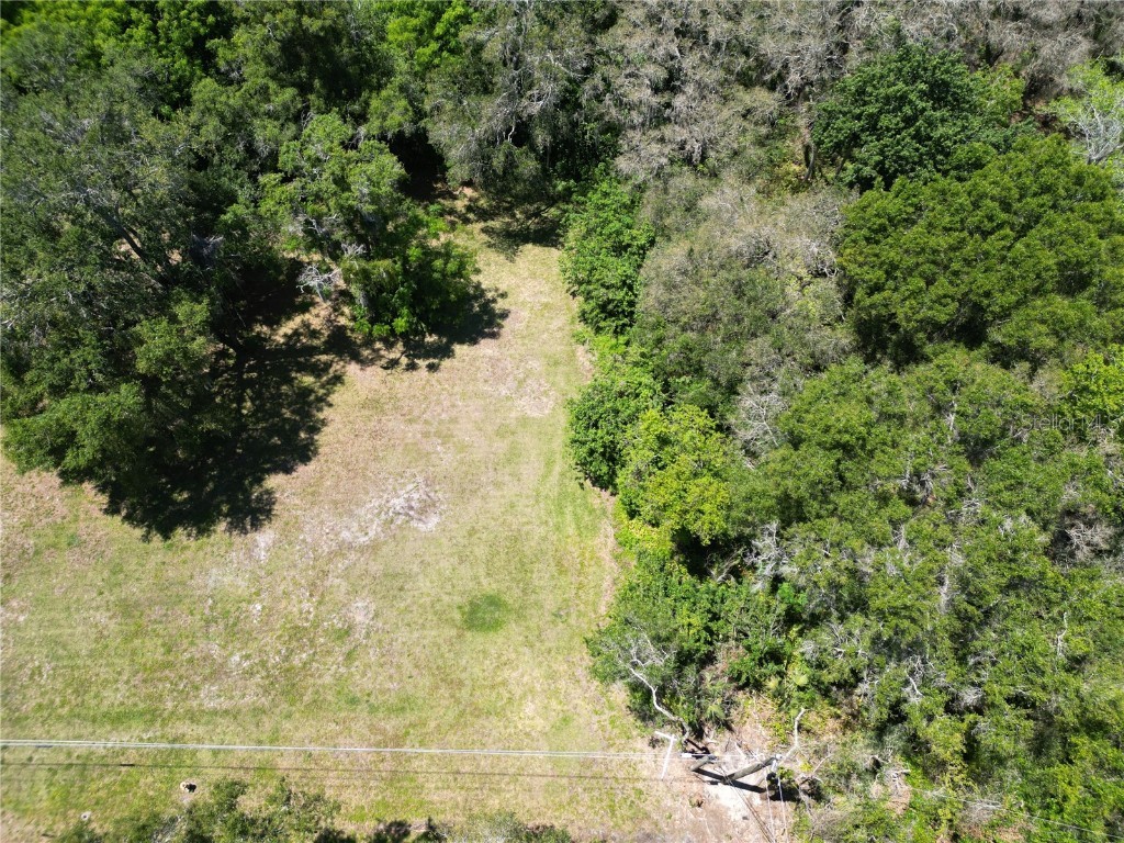 Elm Street Safety Harbor FL 34695 TB8331367 image3