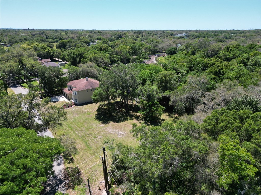 Elm Street Safety Harbor FL 34695 TB8331367 image7