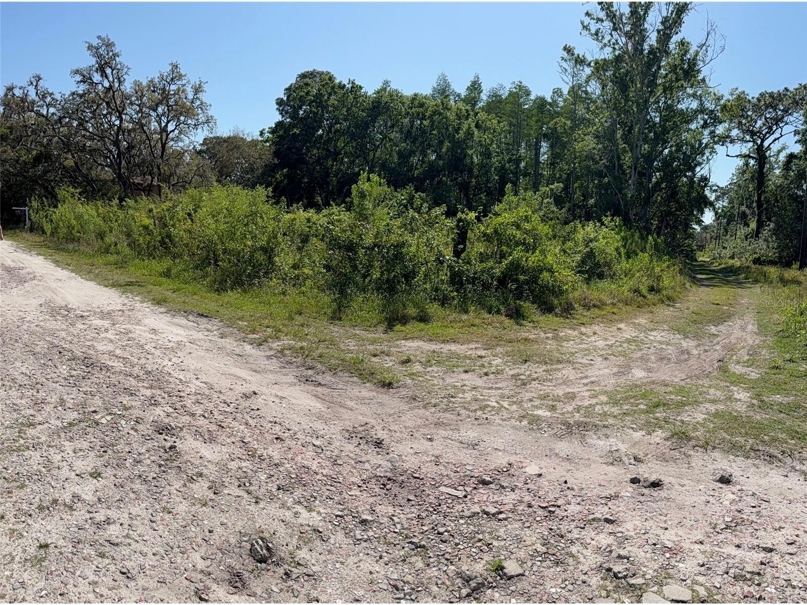 Elza Street New Port Richey FL 34654 TB8372475 image1