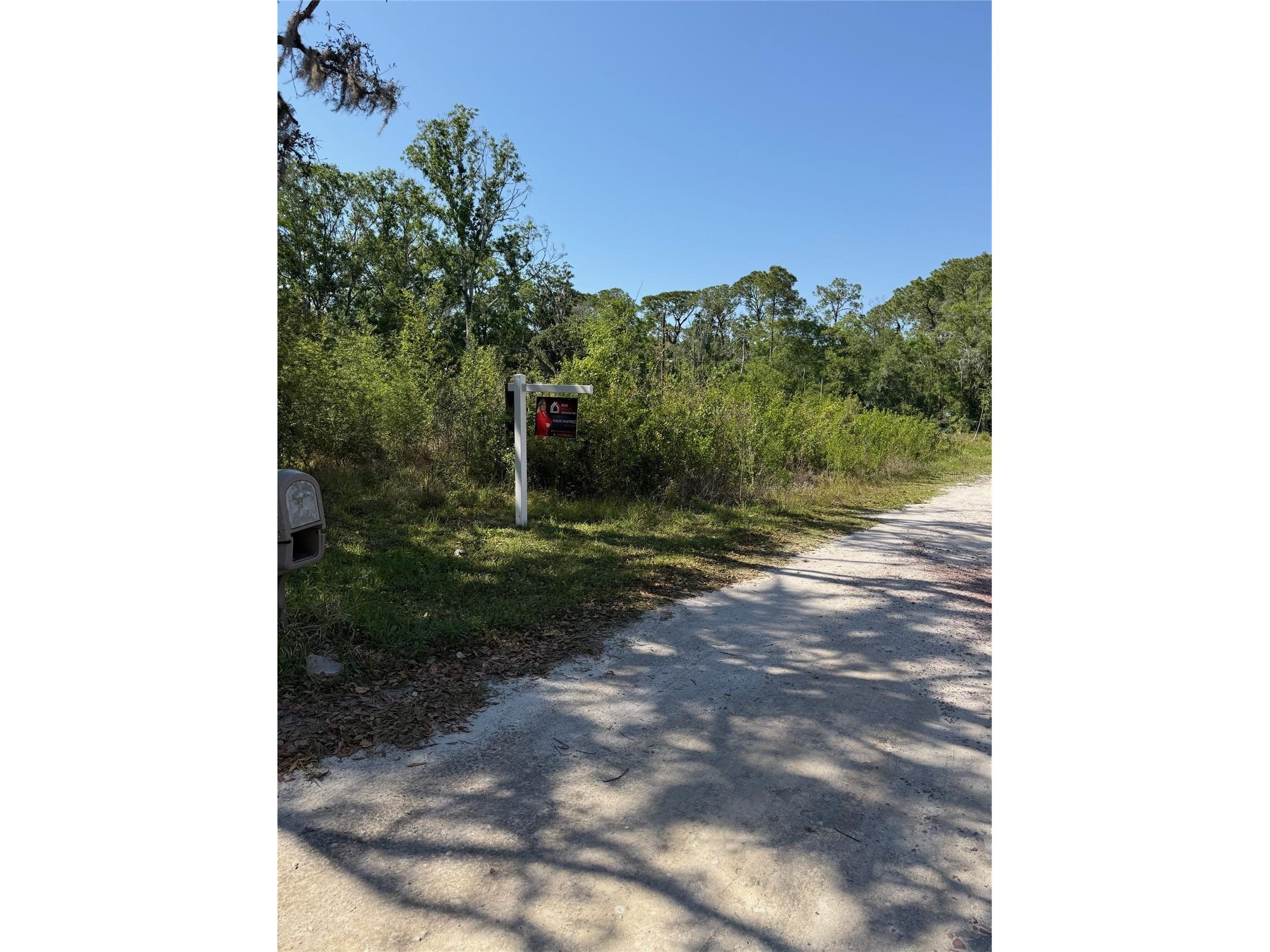 Elza Street New Port Richey FL 34654 TB8372475 image2
