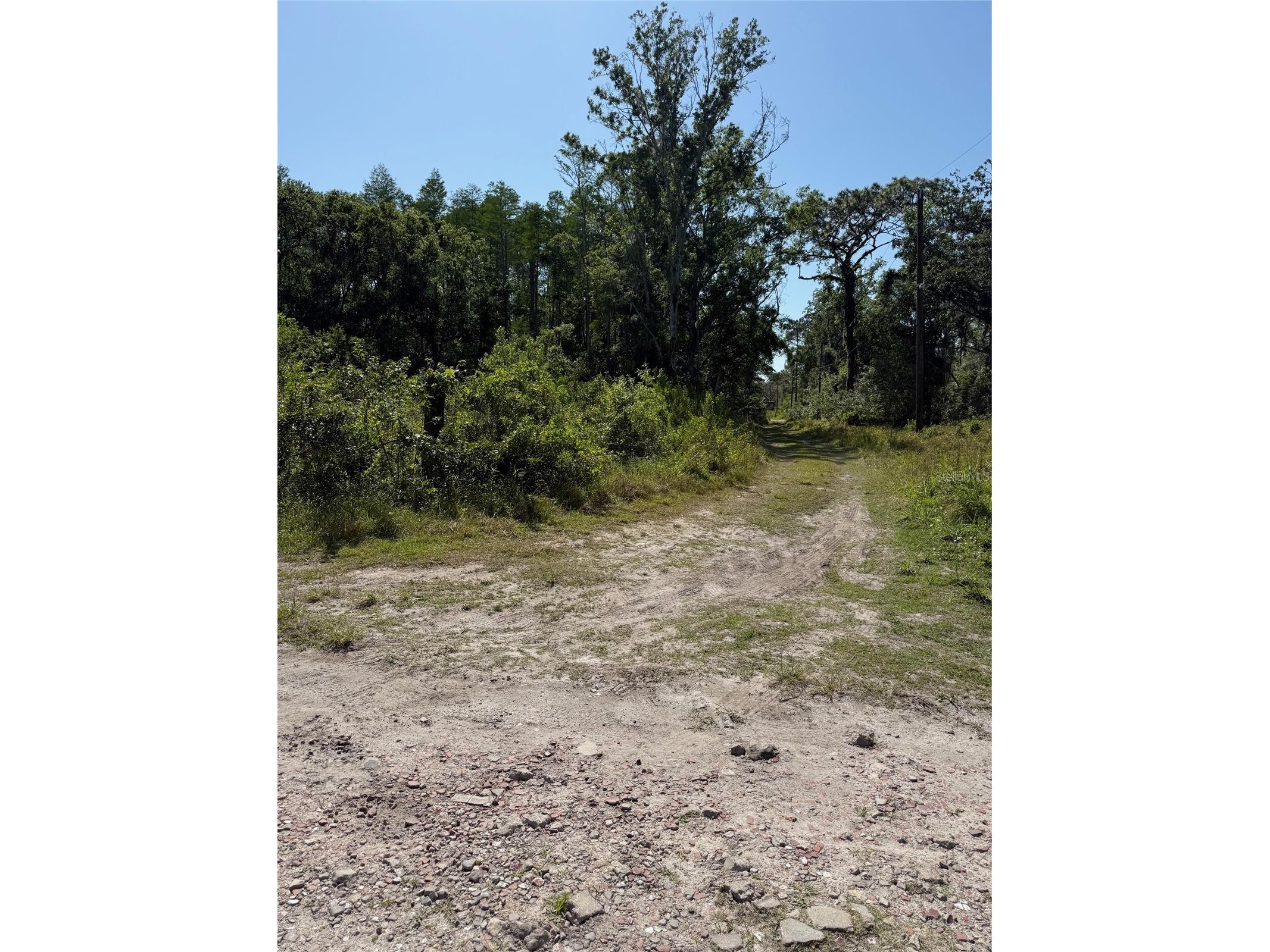 Elza Street New Port Richey FL 34654 TB8372475 image3