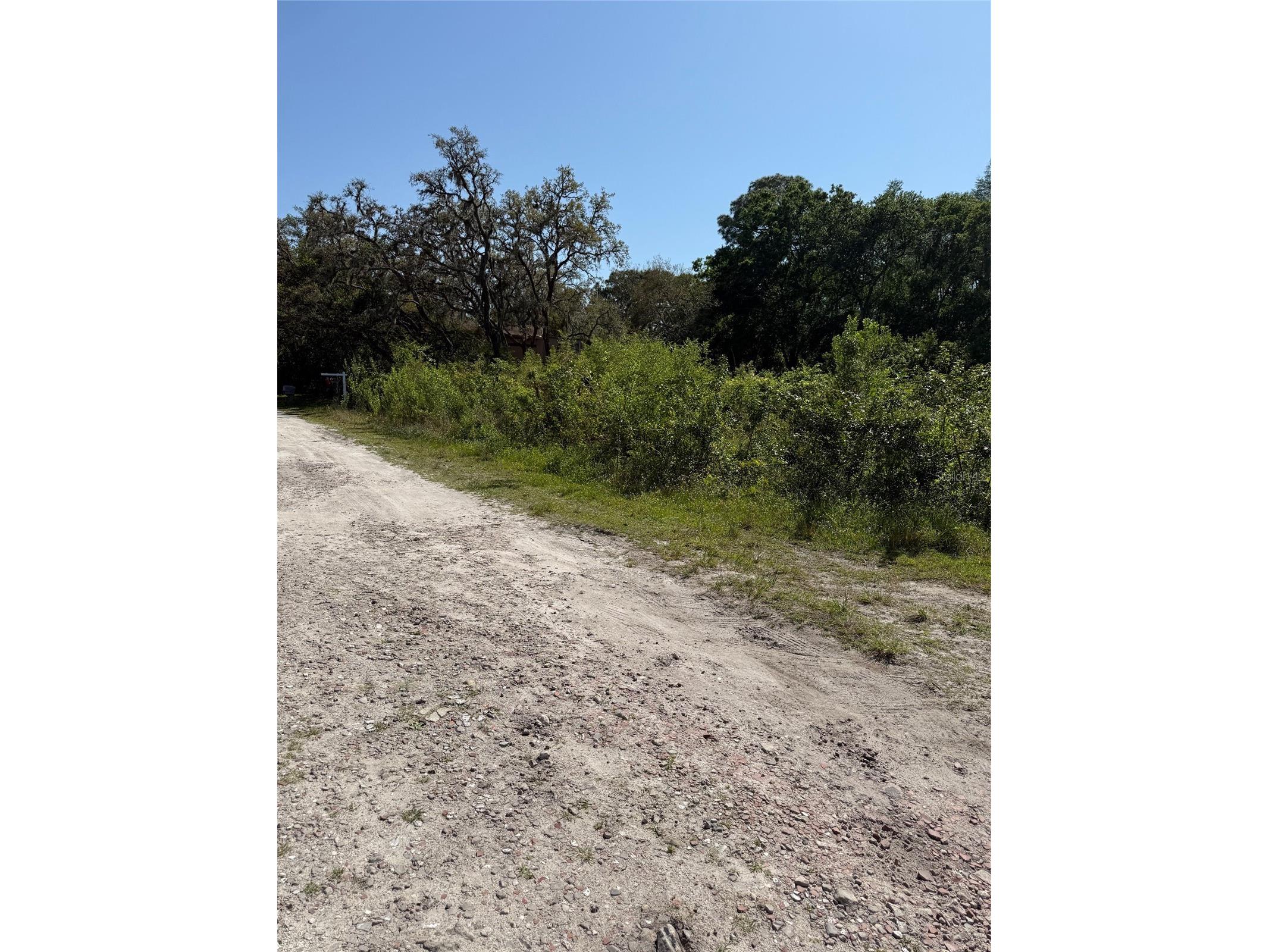 Elza Street New Port Richey FL 34654 TB8372475 image4