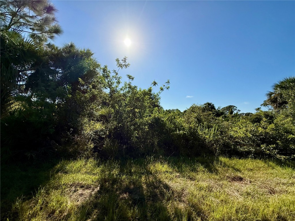 Embassy Road North Port FL 34291 C7516553 image2