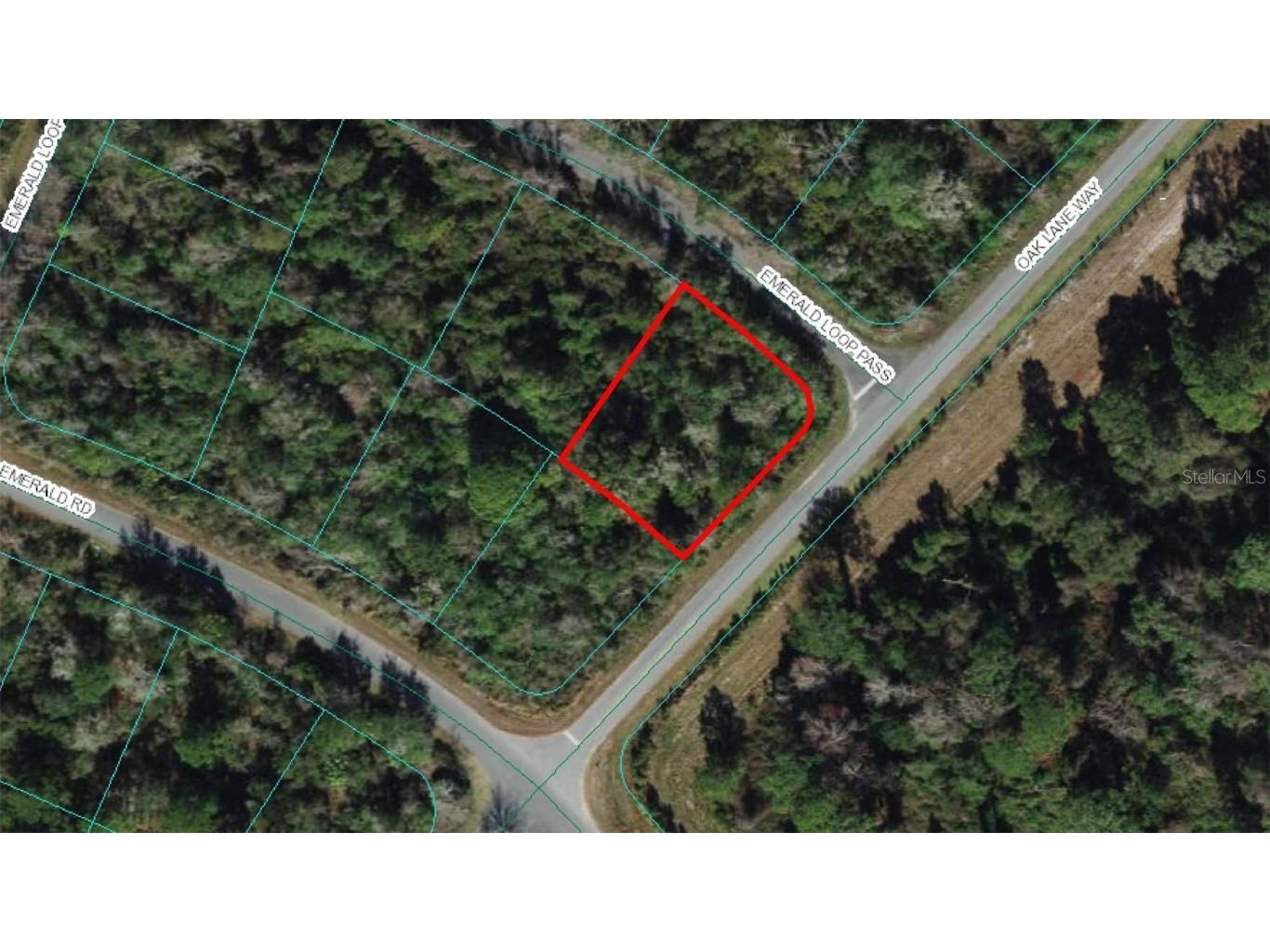 Emerald Pass Loop Ocala FL 34472 OM674763 image1