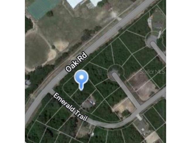 Emerald Trail Ocala FL 34472 O6111923 image1