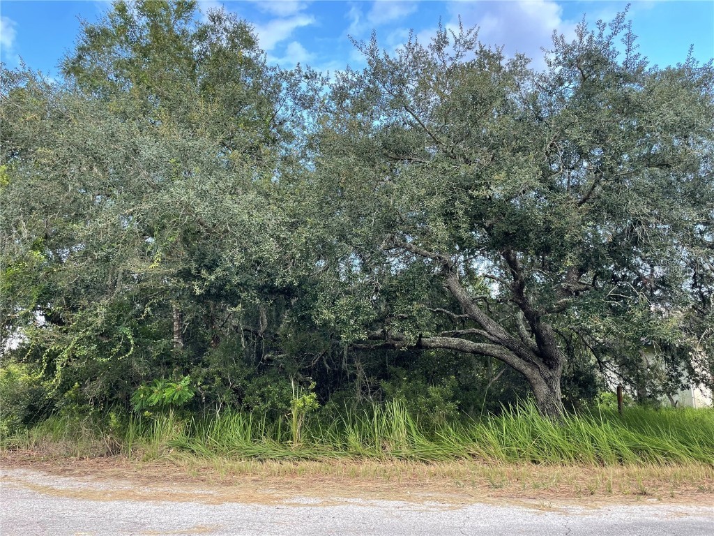 Emerald Trail Place Ocala FL 34472 OM663972 image1