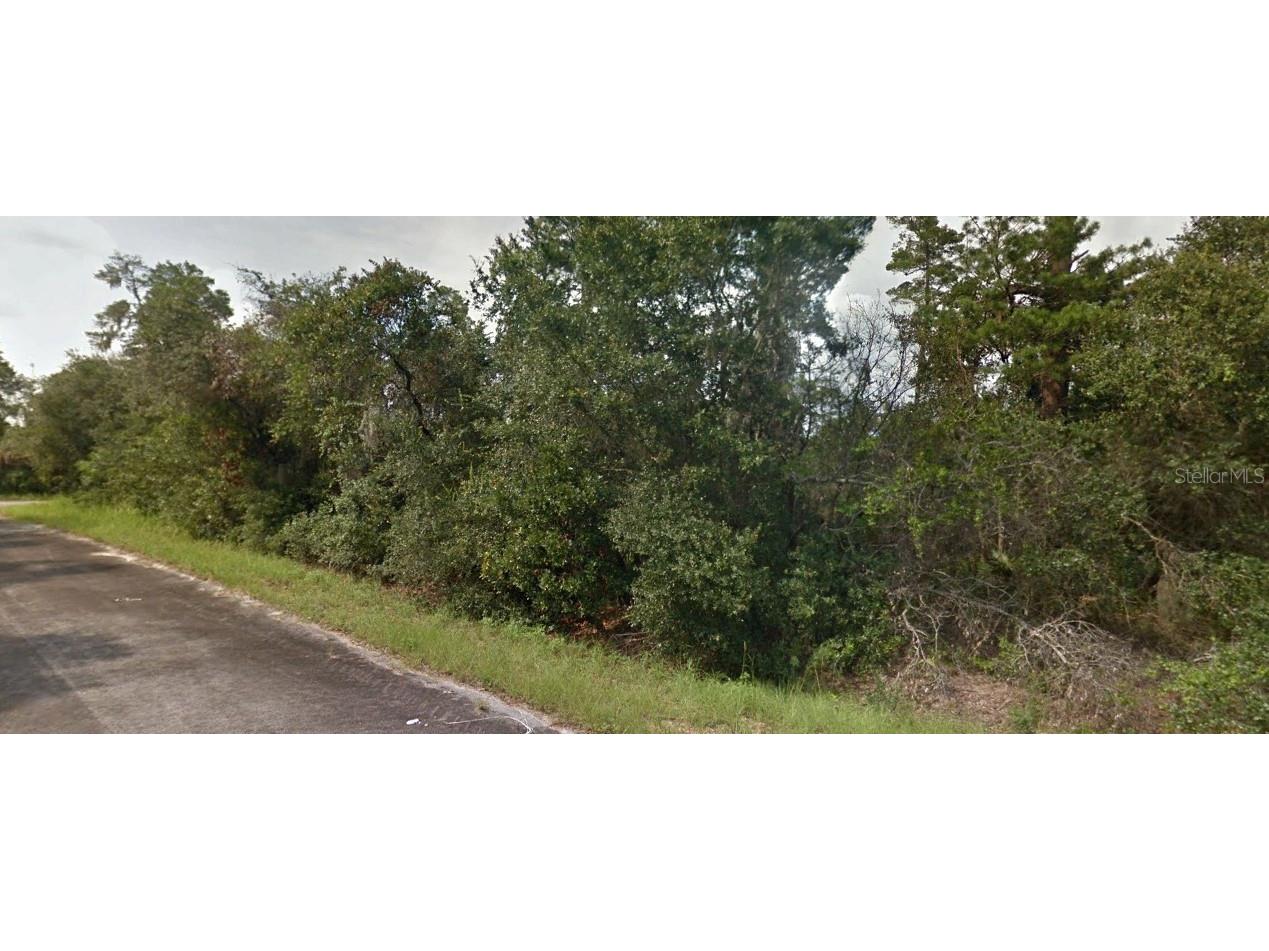 Emerald Trail Way Ocala FL 34472 O6216636 image1