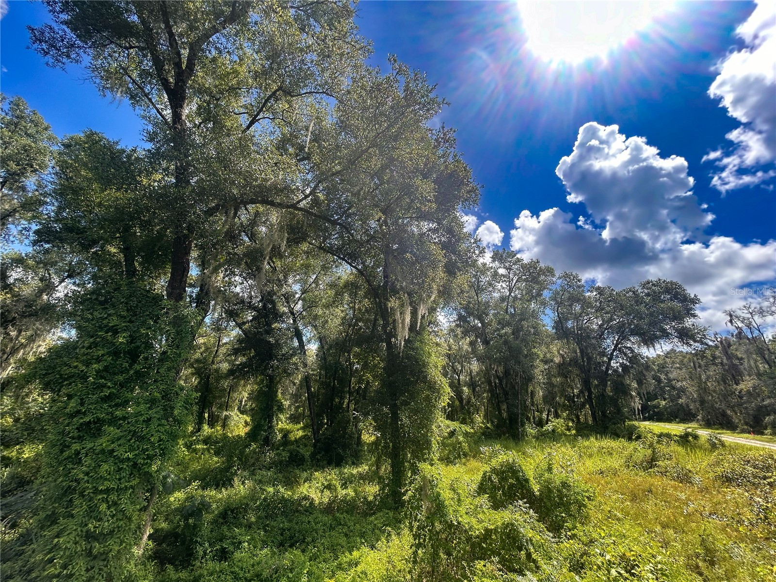Emerald Woods Way Deland FL 32720 V4938155 image1