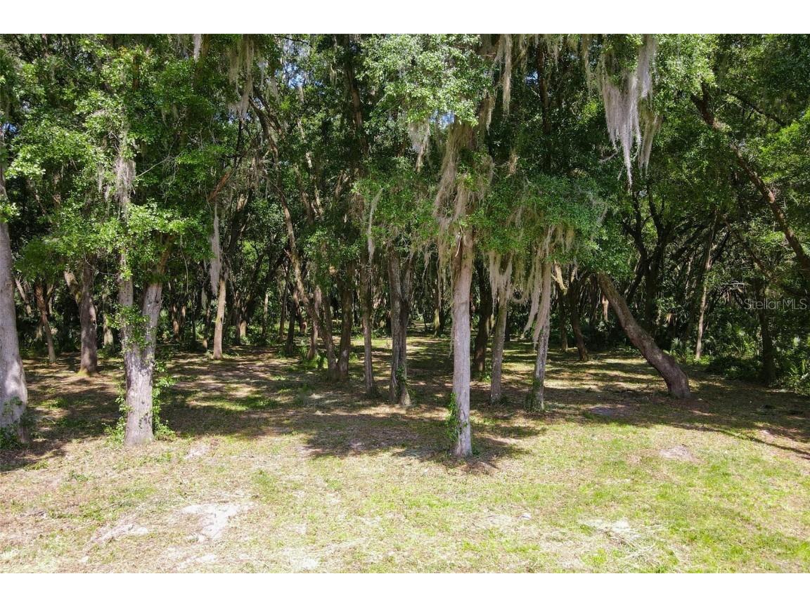 Emeralda Island Road Leesburg FL 34788 G5080852 image1