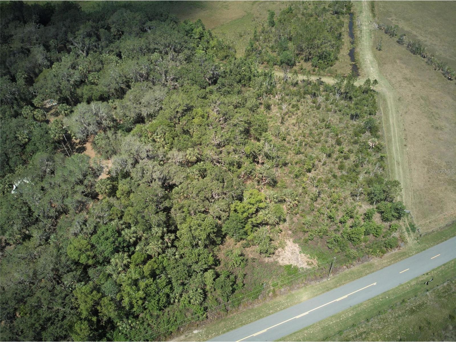 Emeralda Island Road Leesburg FL 34788 TB8385244 image2