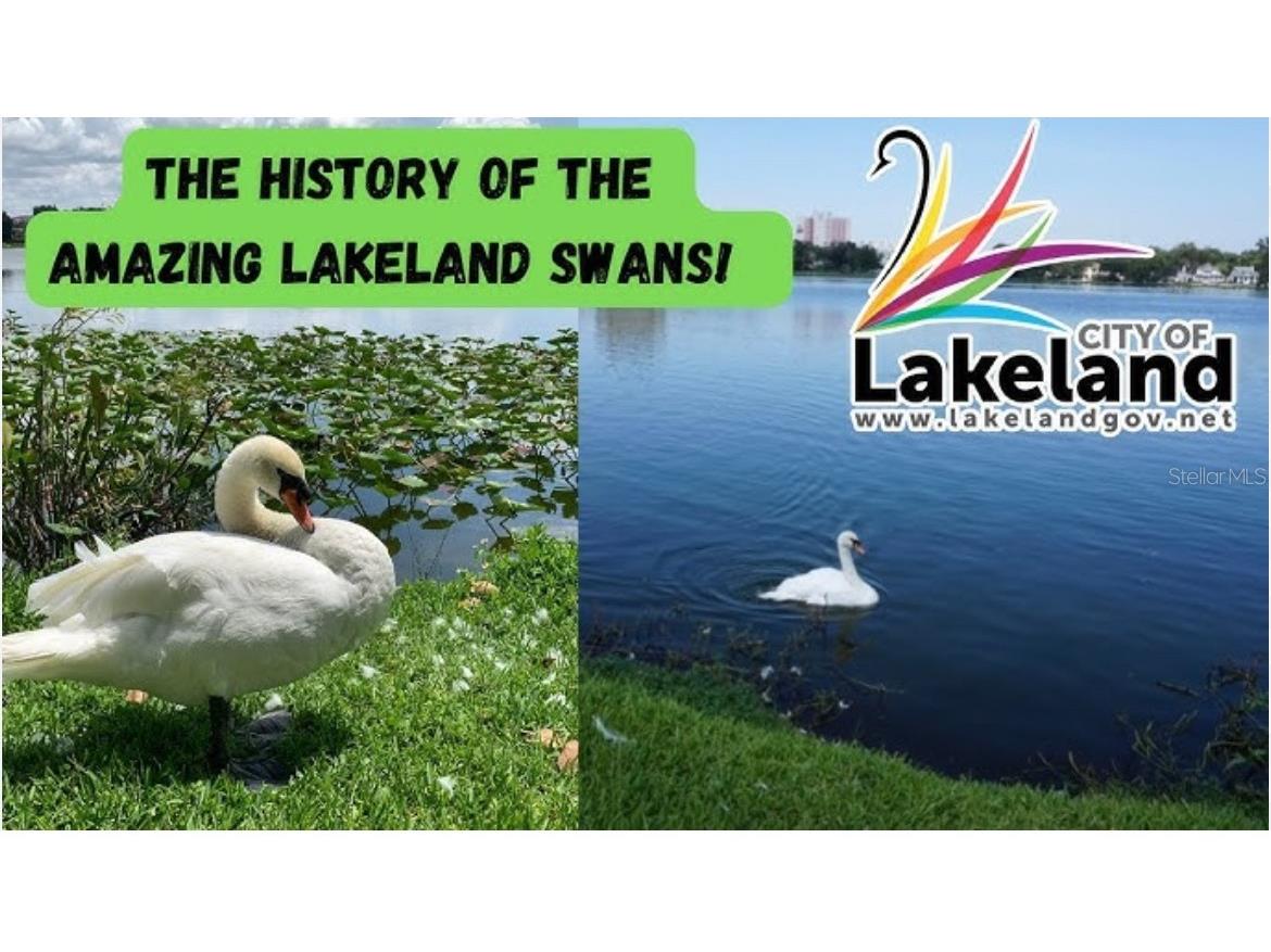 Emma Street W Lakeland FL 33815 R4909912 image27