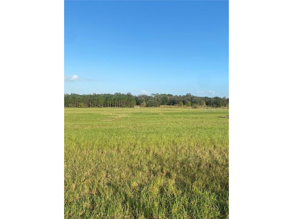 Empire Church Road Groveland FL 34736 G5088443 image1