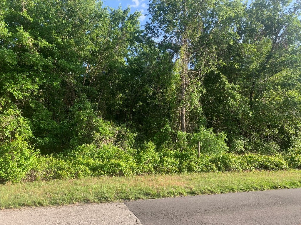 Empire Church Road Groveland FL 34736 G5095278 image1