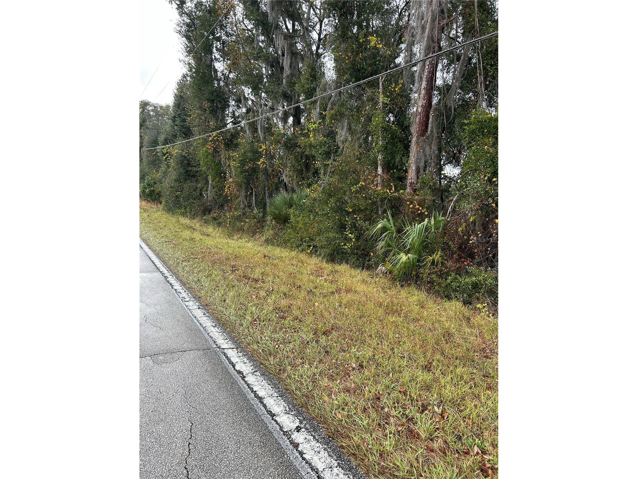 Emporia Road Pierson FL 32180 - STONE POND V4939993 image1