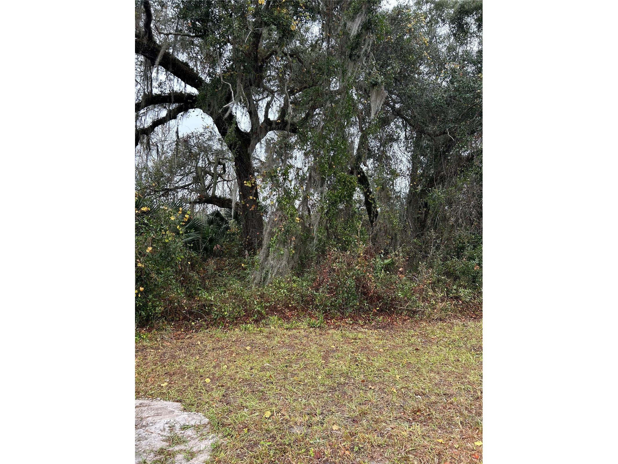 Emporia Road Pierson FL 32180 - STONE POND V4939993 image2