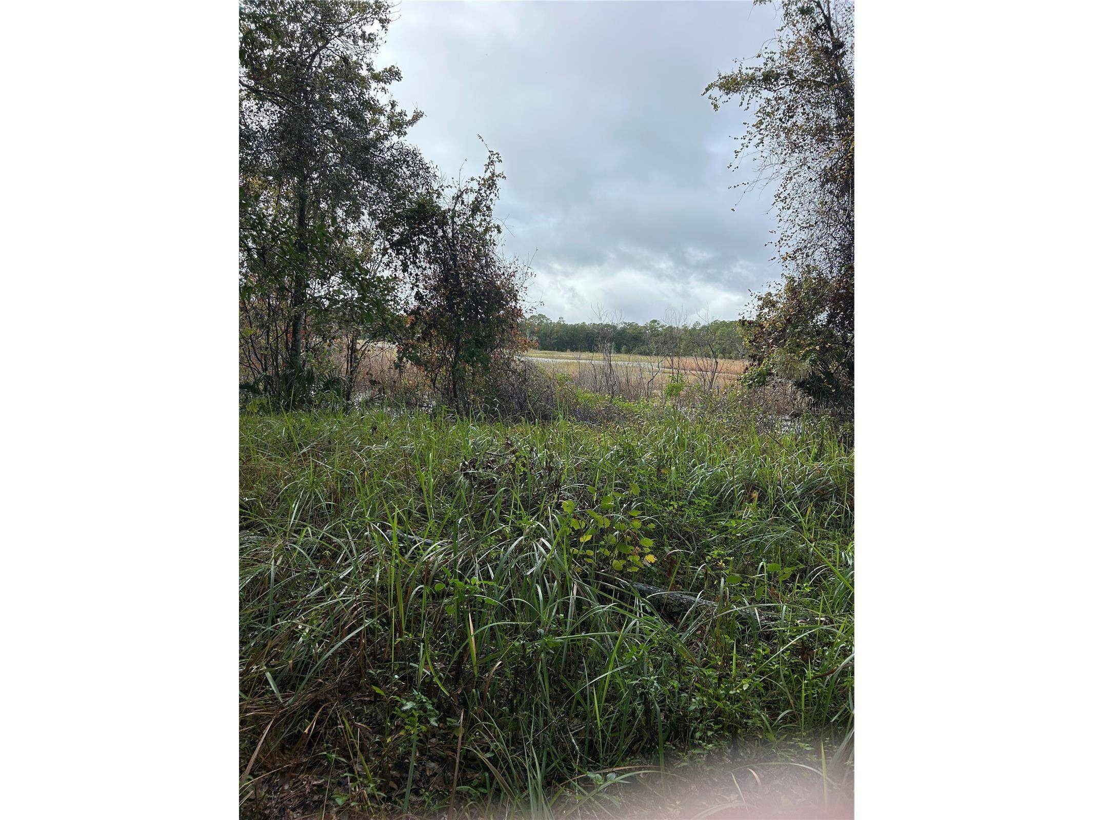 Emporia Road Pierson FL 32180 - STONE POND V4939993 image3