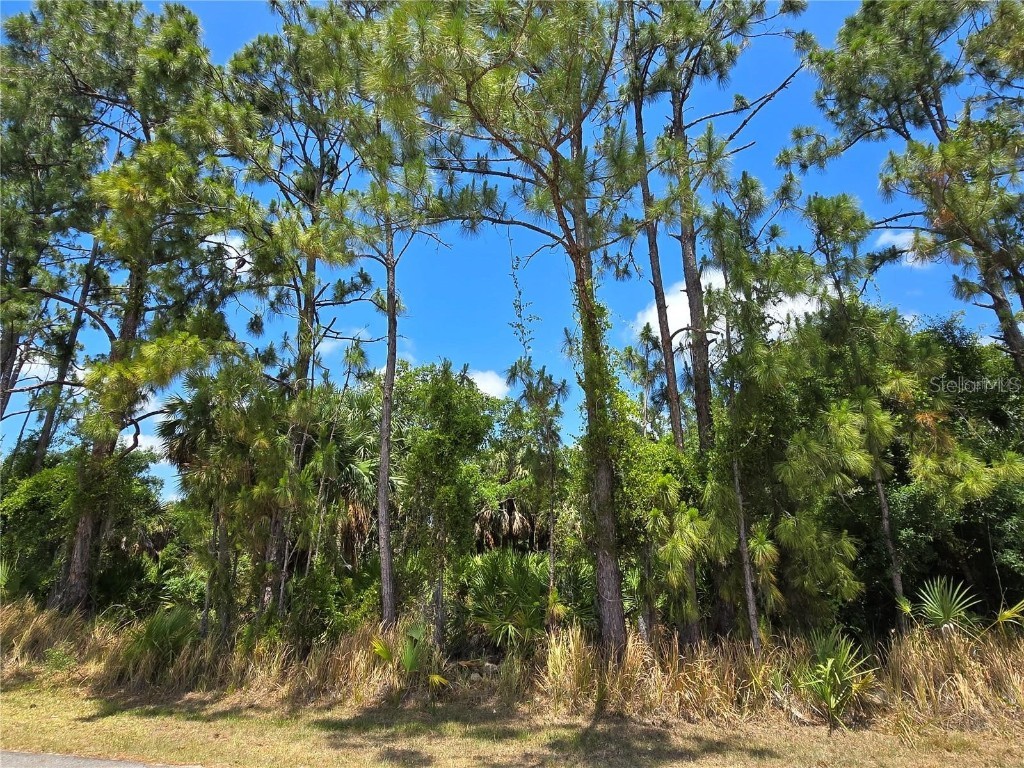 Emporia Terrace North Port FL 34286 A4654142 image2