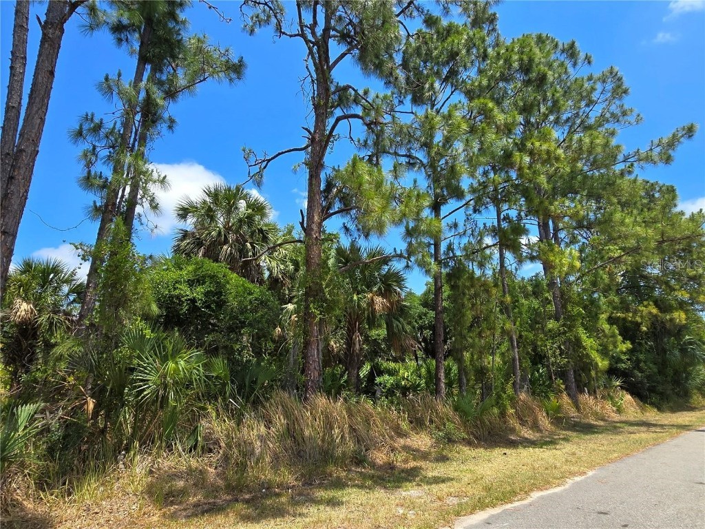 Emporia Terrace North Port FL 34286 A4654142 image4