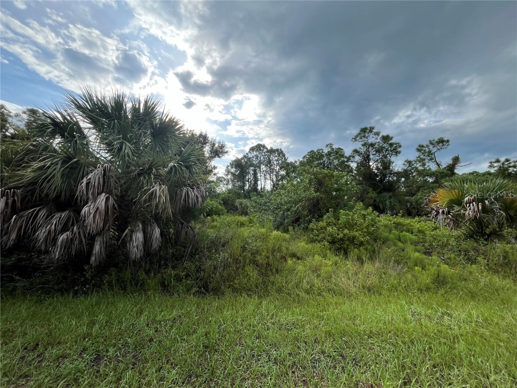 English Circle North Port FL 34288 OK224472 image1