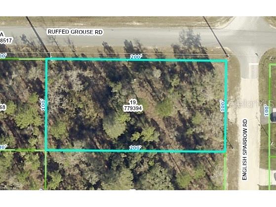 English Sparrow Road Brooksville FL 34614 U8250529 image1