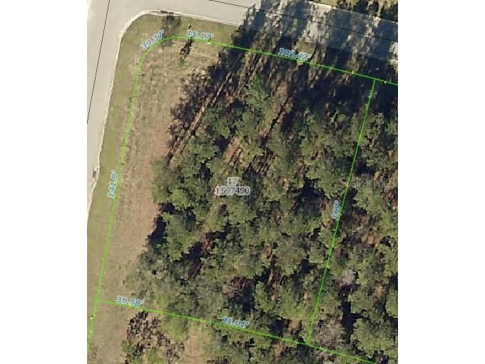 English Walnut Place Brooksville FL 34601 T3336356 image1