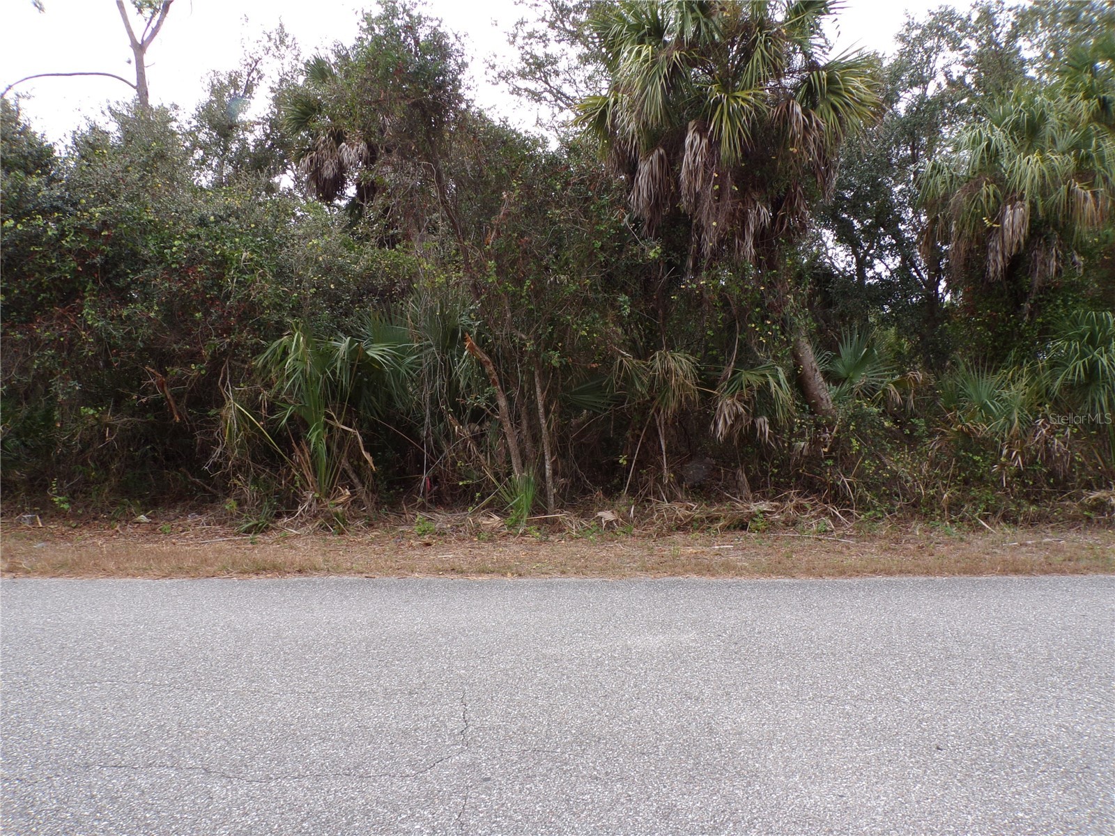 Enid Lane North Port FL 34288 C7520393 image5