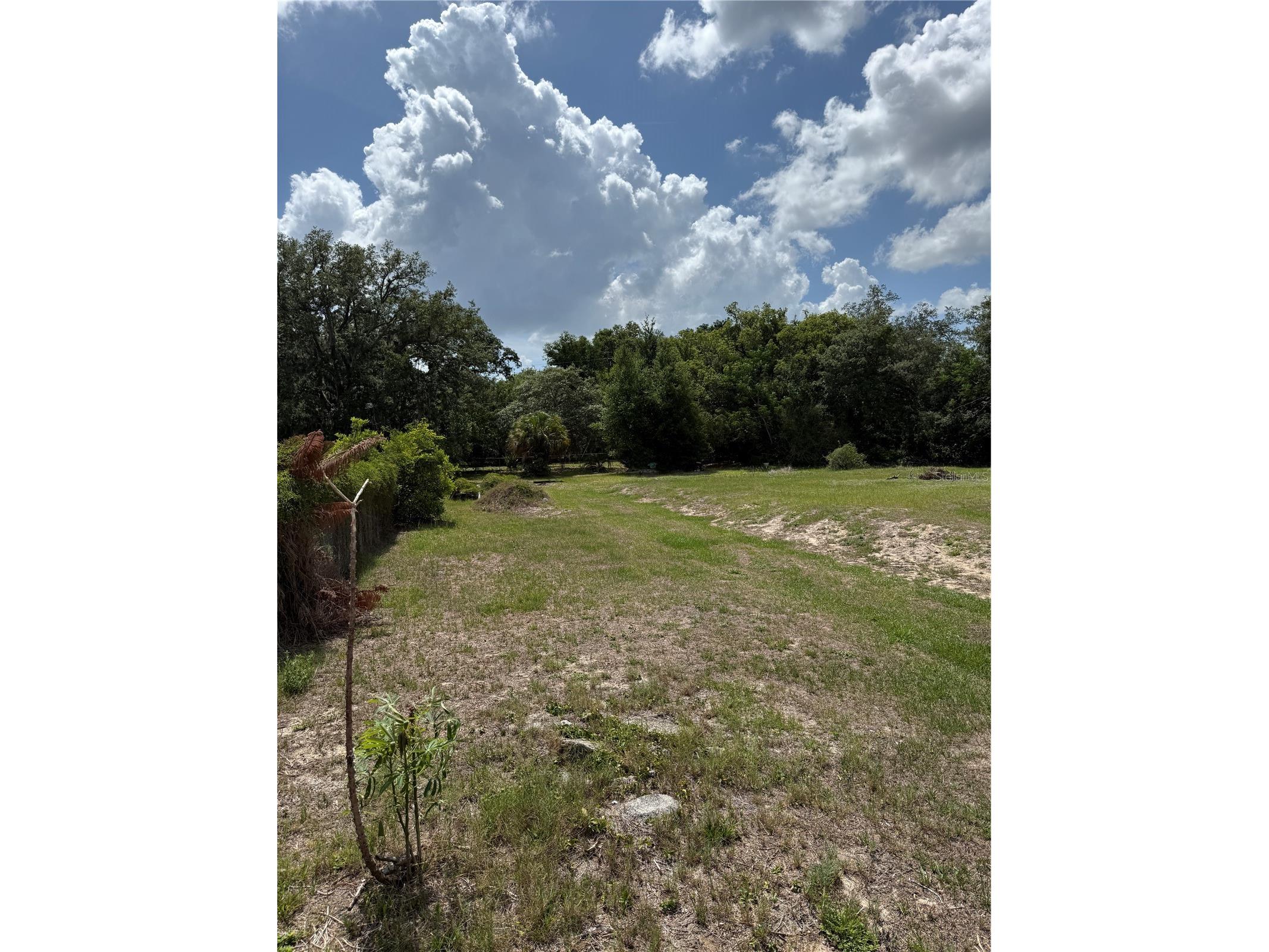 Enka Way Orlando FL 32818 O6412820 image2