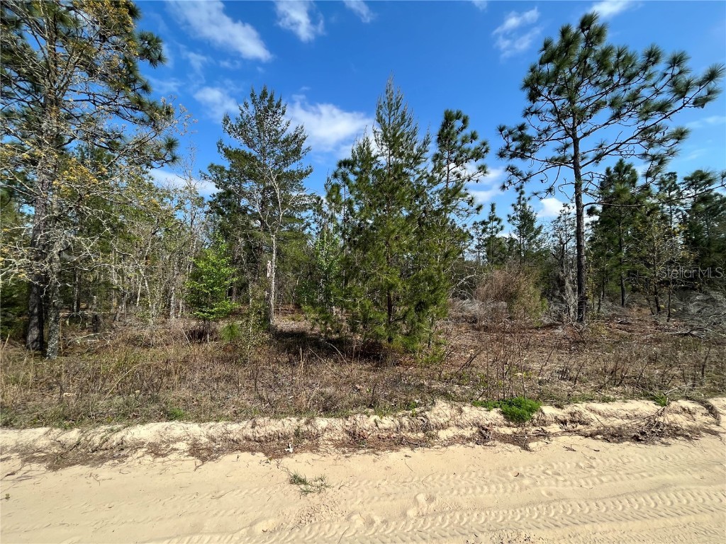 Erie Interlachen FL 32148 OK222571 image1