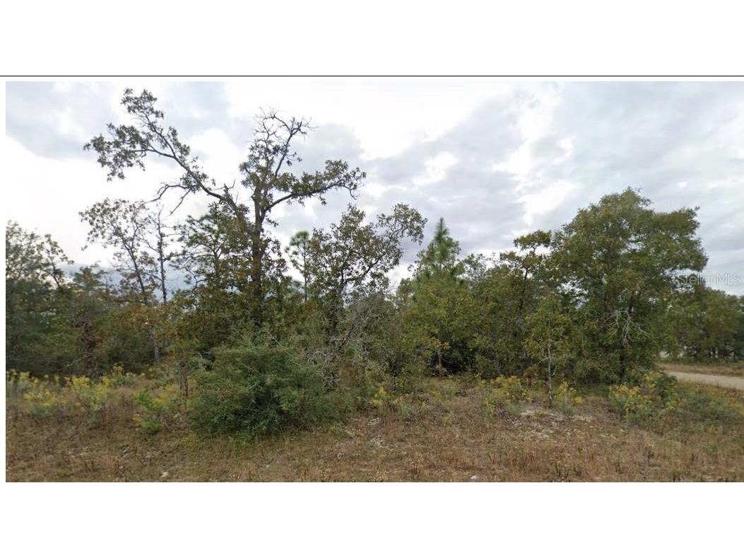 Esmont Avenue Chipley FL 32428 O6321263 image1