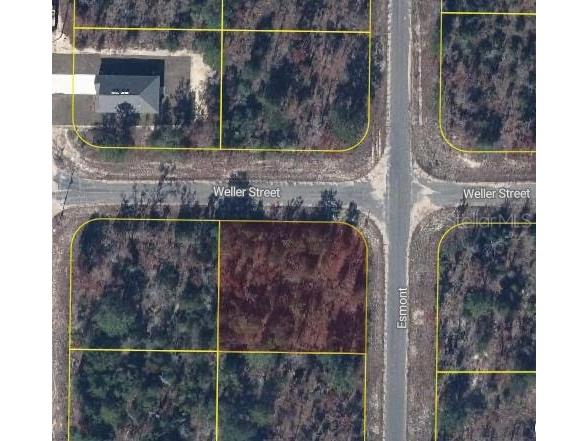 Esmont Avenue Chipley FL 32428 O6321263 image2