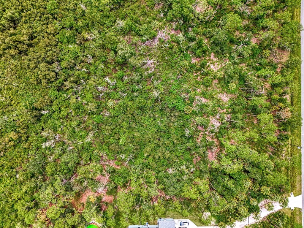 Estates Drive North Port FL 34291 N6139849 image27