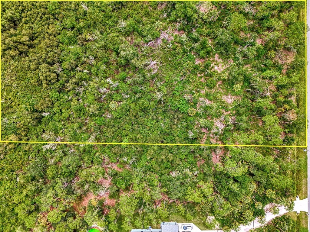 Estates Drive North Port FL 34291 N6139849 image28