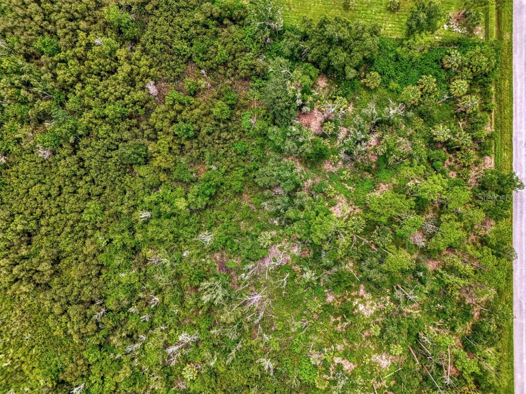 Estates Drive North Port FL 34291 N6139849 image29