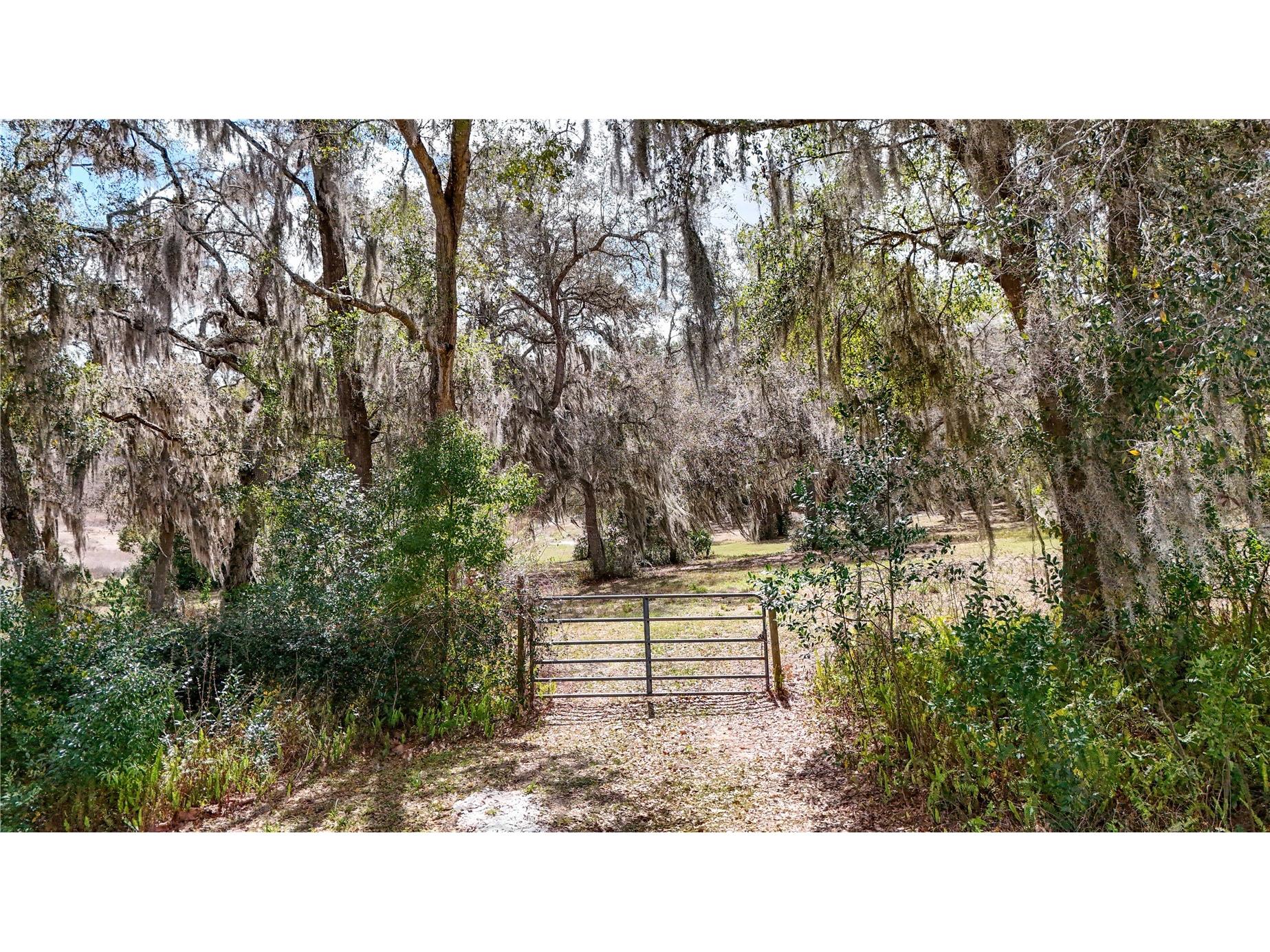 Estes (Highland Dr.) Road Eustis FL 32726 O6389114 image3