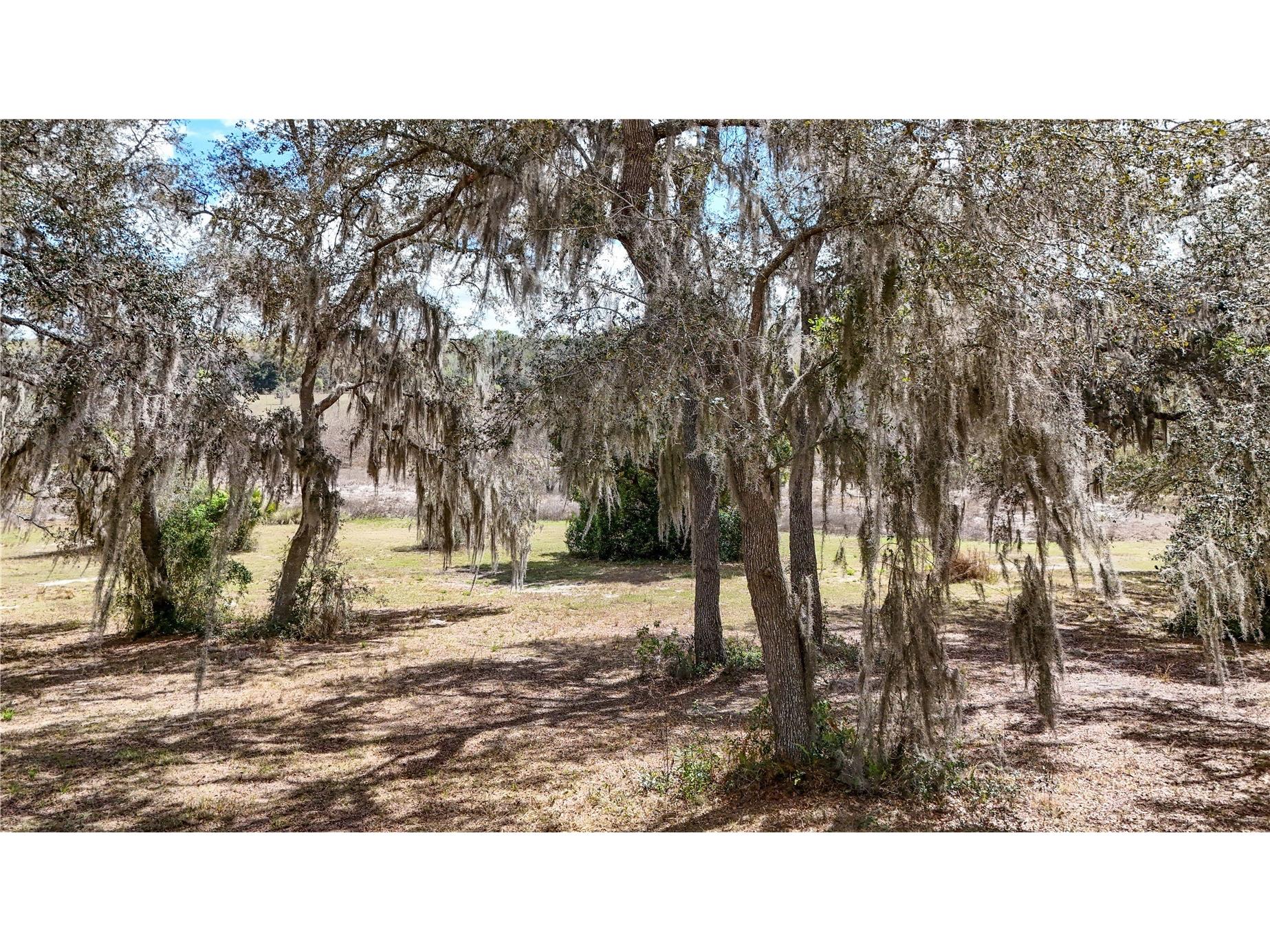 Estes (Highland Dr.) Road Eustis FL 32726 O6389114 image4