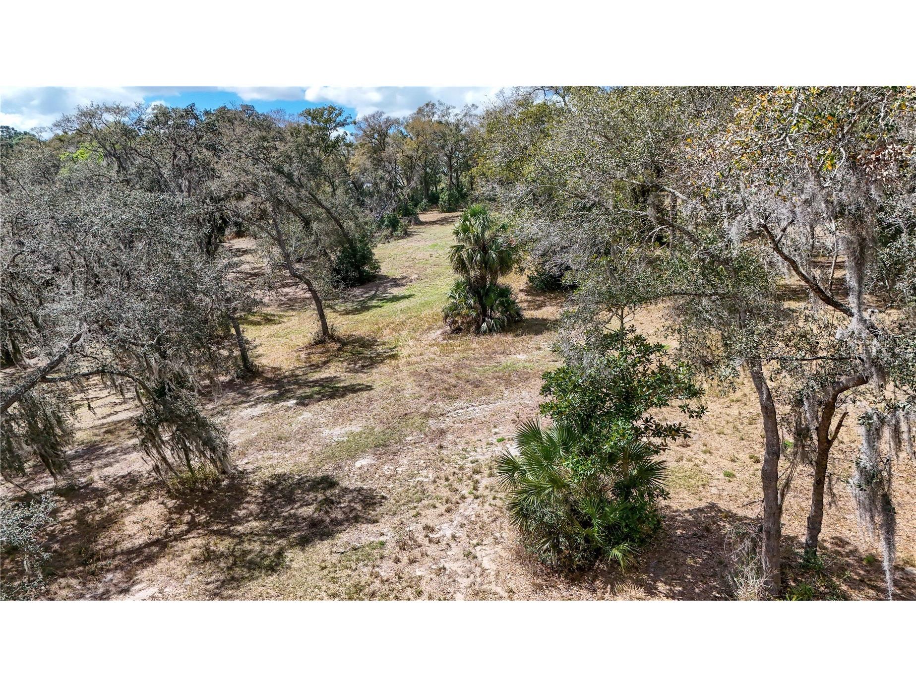 Estes (Highland Dr.) Road Eustis FL 32726 O6389114 image5