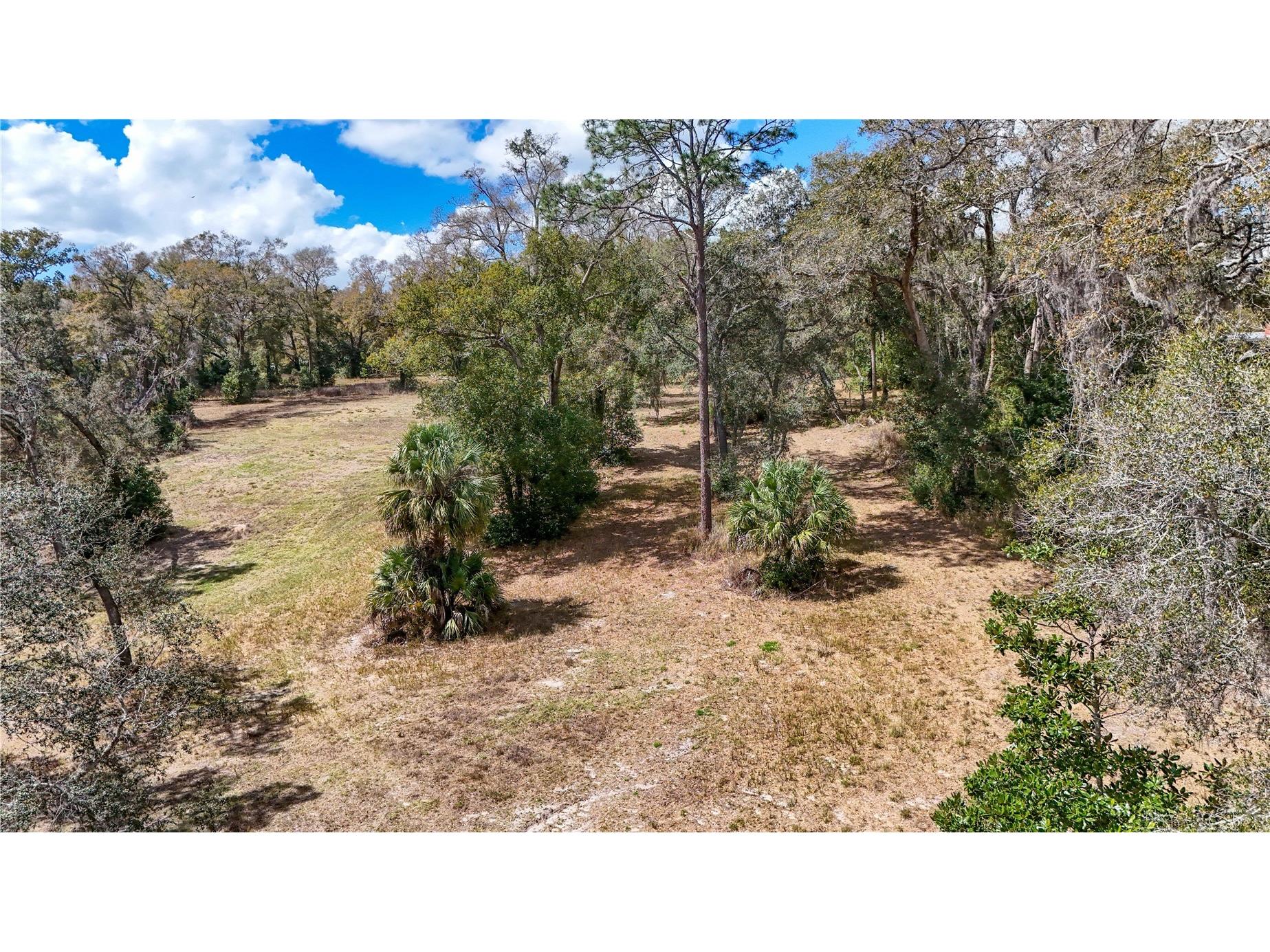 Estes (Highland Dr.) Road Eustis FL 32726 O6389114 image6