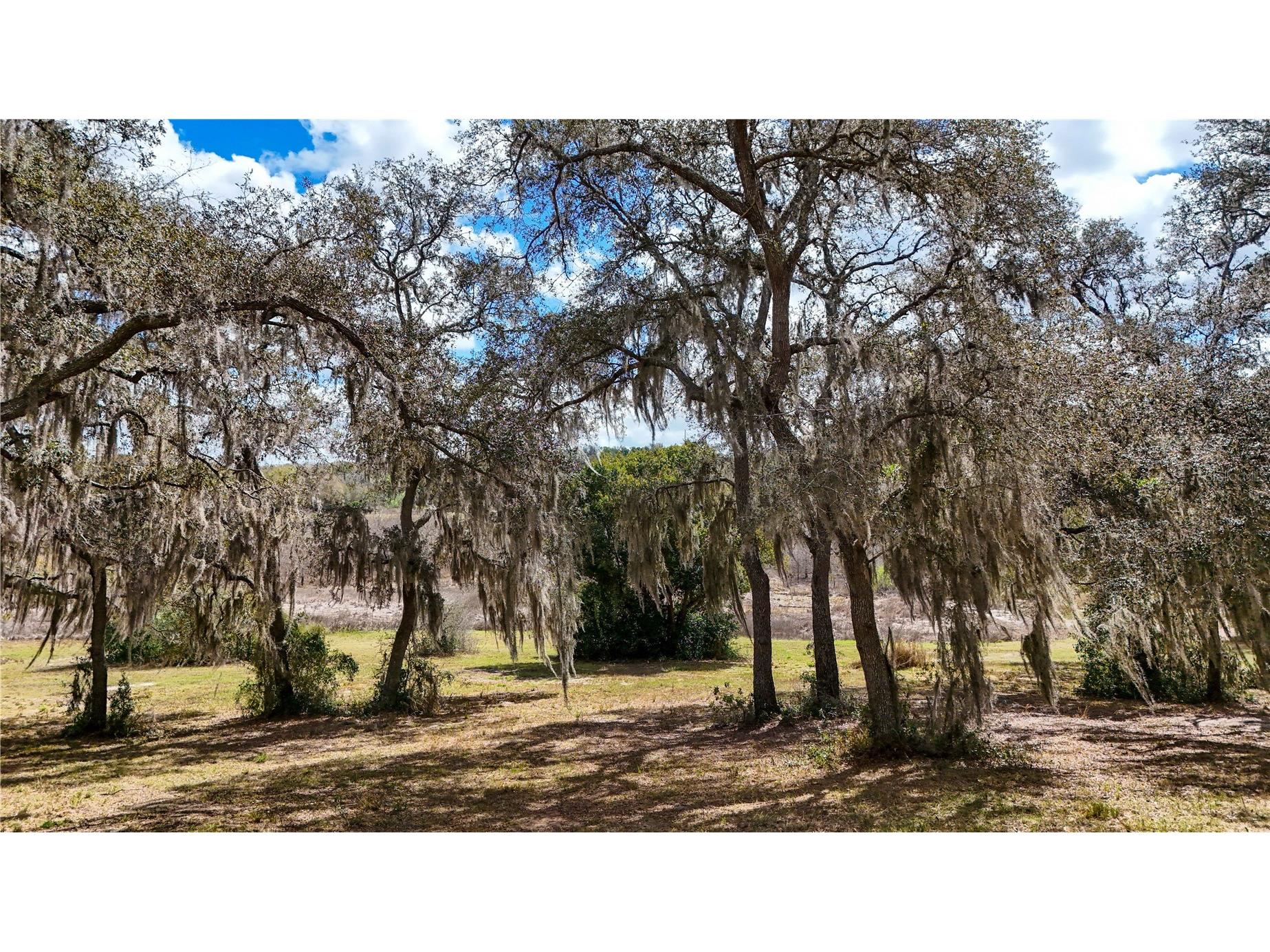 Estes (Highland Dr.) Road Eustis FL 32726 O6389114 image7