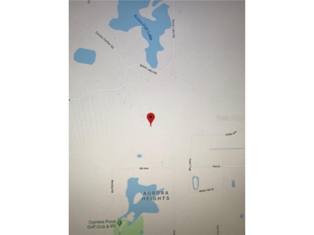 Eucalyptus Paper Lane Osteen FL 32764 V4906208 image1