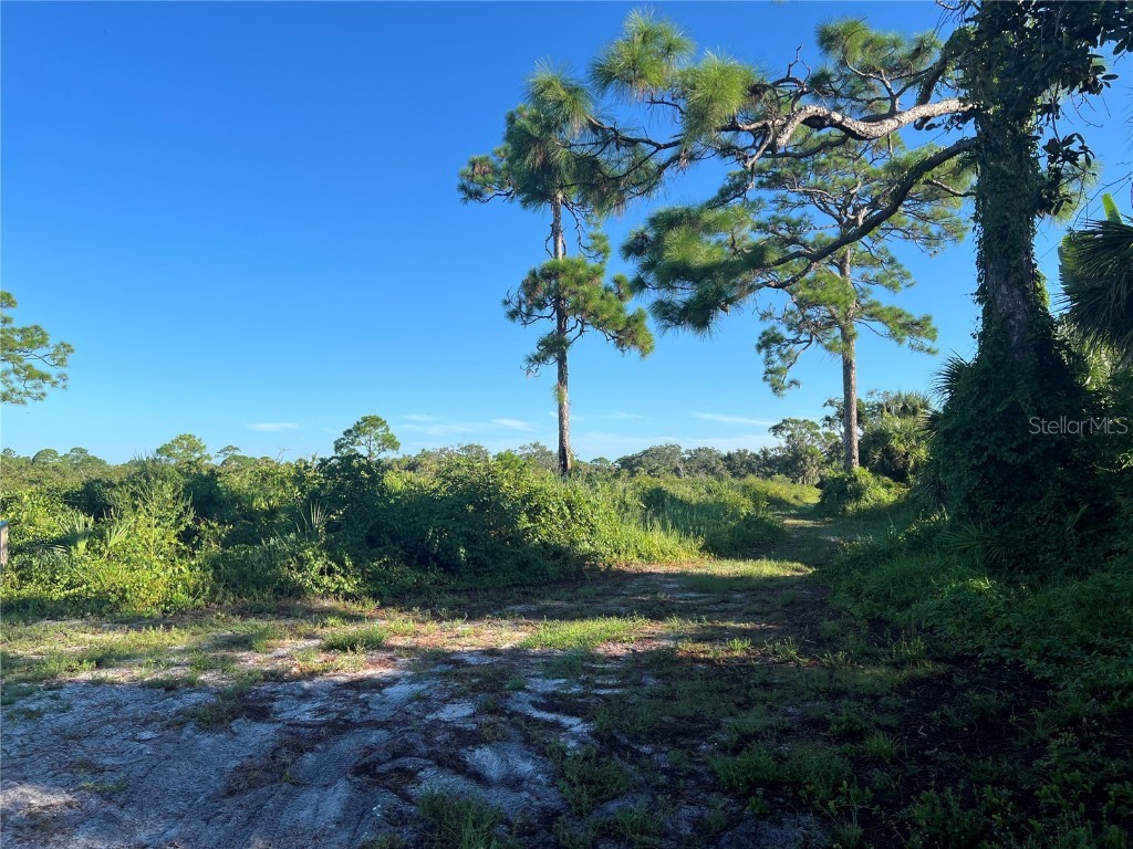 Euclid Road Venice FL 34293 N6140152 image13