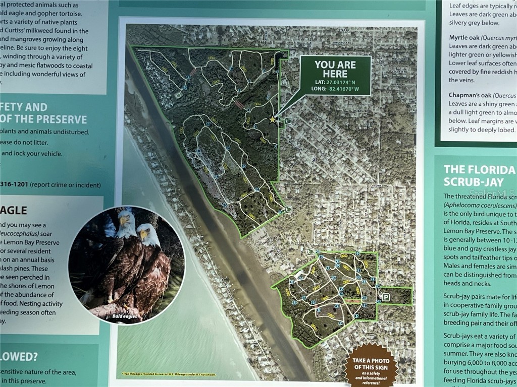 Euclid Road Venice FL 34293 N6140152 image14