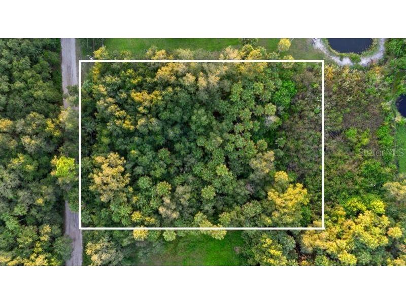 Eureka Cocoa FL 32926 O6244459 image1