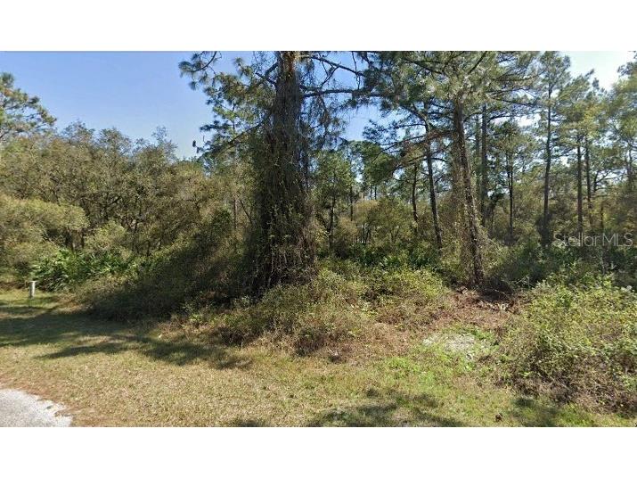  Eustis FL 32736 O6202677 image1